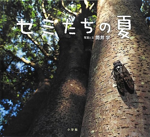 Summer the cicadas a - the,